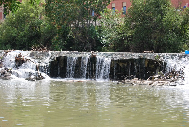 Serias amenazas para el remo navarro